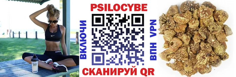 hydra ССЫЛКА  Калининец  Псилоцибиновые грибы MAGIC MUSHROOMS 